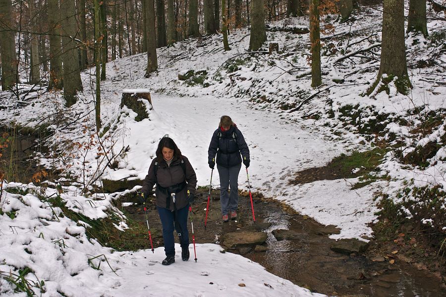 Holderstein - Wandern im Schurwald